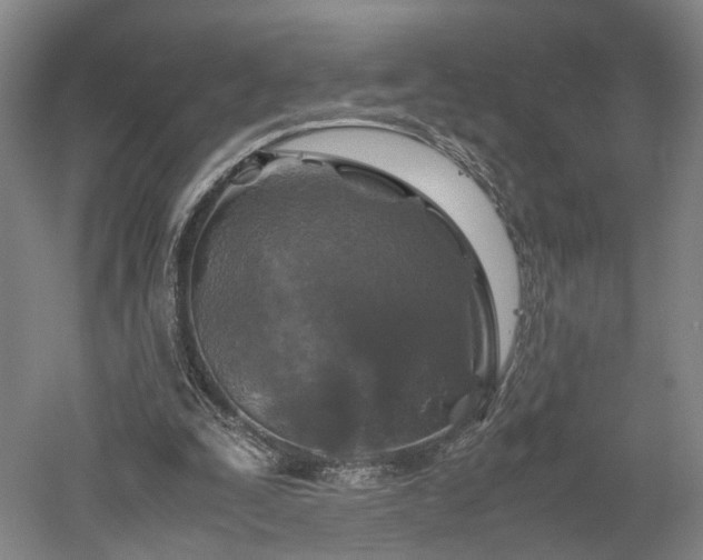 X0000052920295200507151558