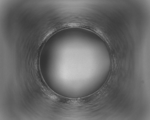 X0000052920297200507151557