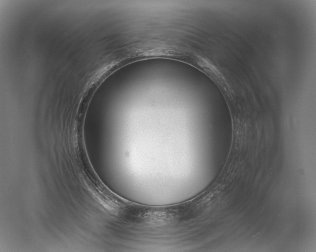 X0000052920298200507151557