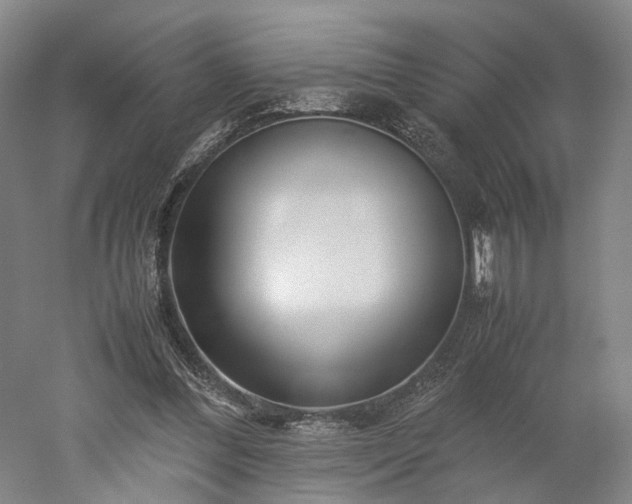 X0000052920300200507151557