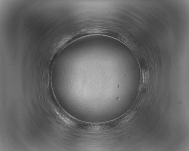 X0000052920301200507151557