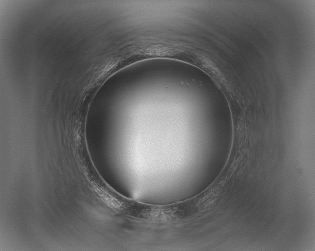 X0000052920305200507151557
