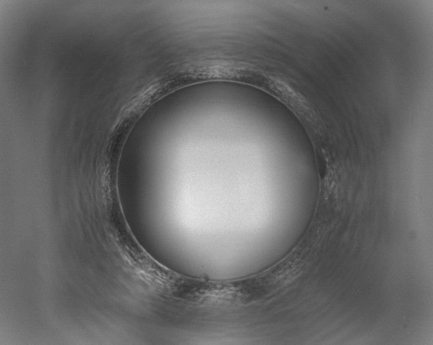 X0000052920306200507151557