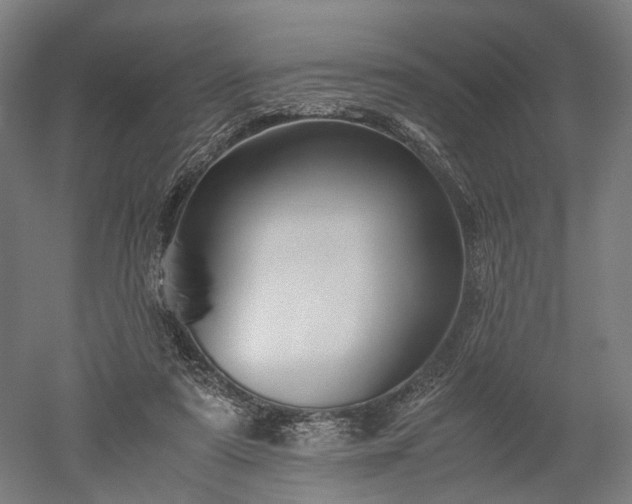 X0000052920307200507151557