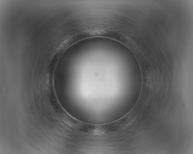 X0000052920308200507151557