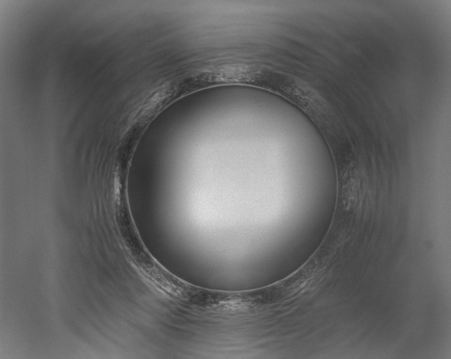 X0000052920310200507151557