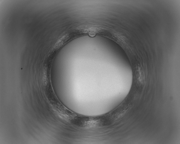 X0000052920312200507151557