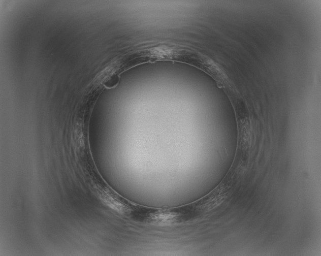 X0000052920313200507151557