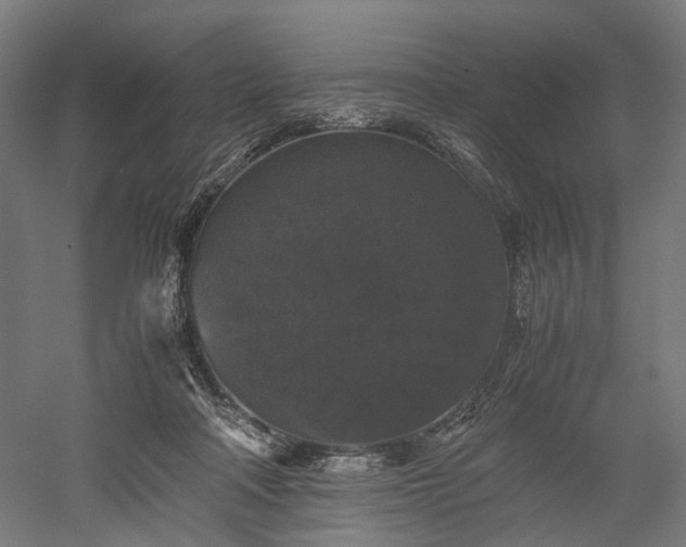 X0000052920314200507151557