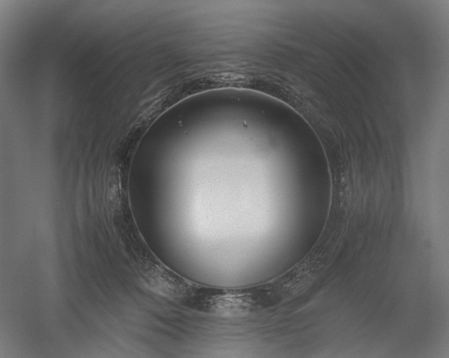 X0000052920320200507151557