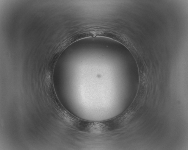 X0000052920321200507151557