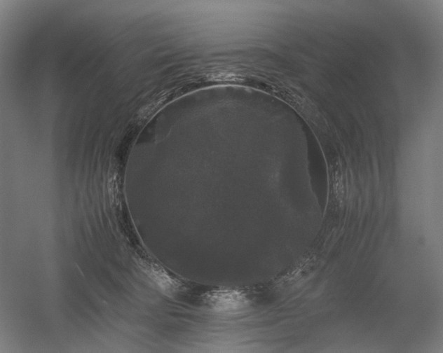X0000052920322200507151557