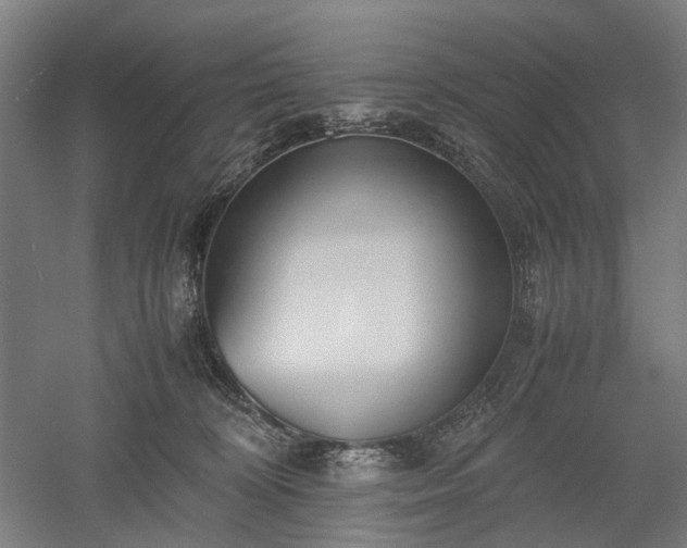 X0000052920324200507151557