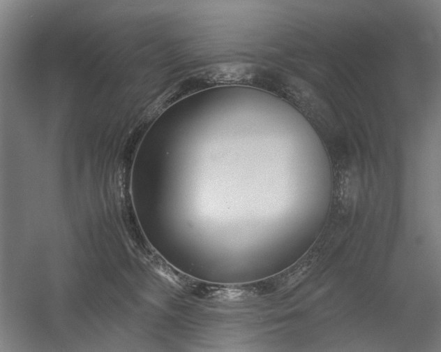 X0000052920326200507151557