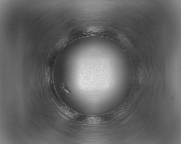 X0000052920328200507151557