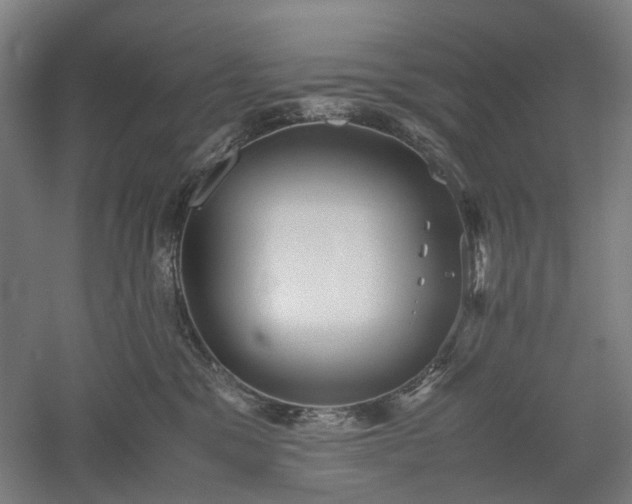 X0000052920329200507151557