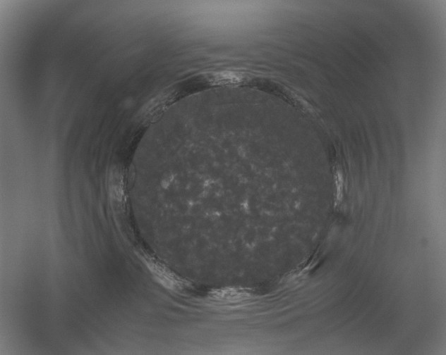 X0000052920331200507151557