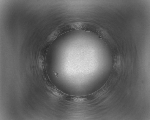 X0000052920332200507151557
