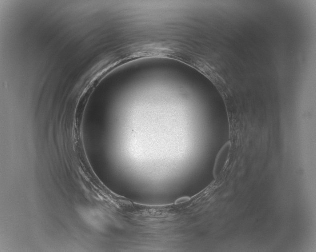 X0000052920338200507151556