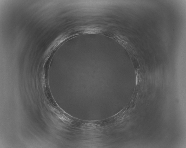 X0000052920339200507151556