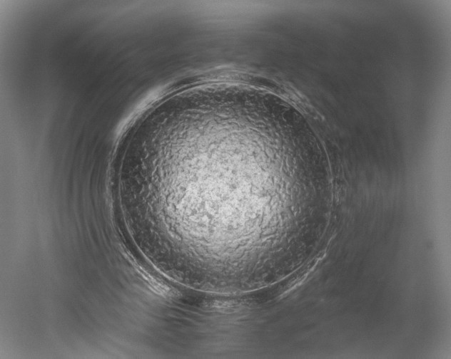 X0000052920341200507151556