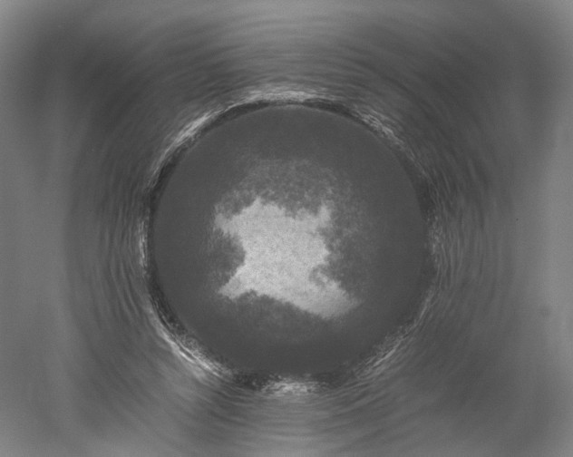 X0000052920352200507151556