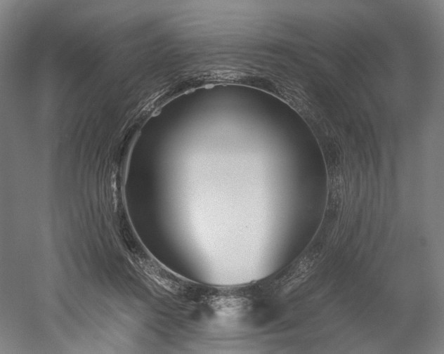X0000052920360200507151556