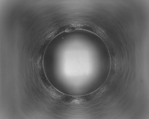X0000052920364200507151556