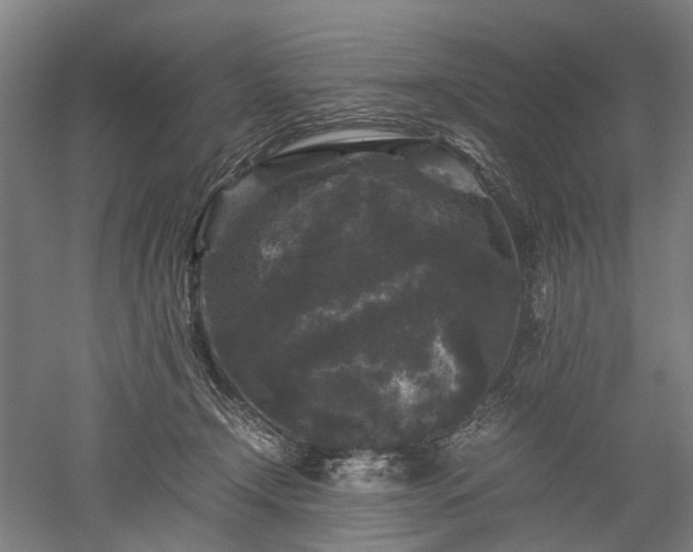 X0000052920366200507151557