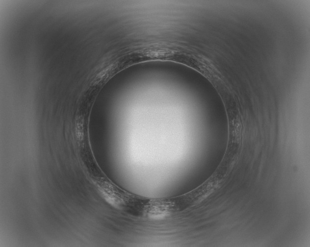 X0000052920368200507151557