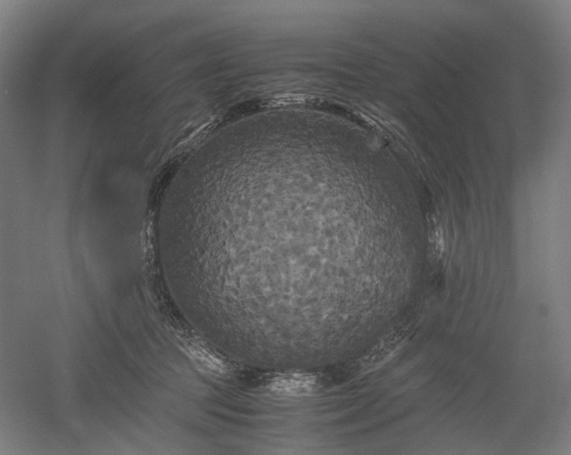 X0000052920369200507151557