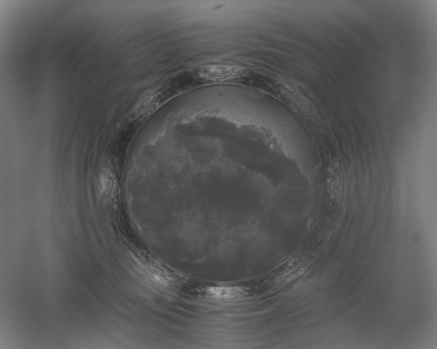X0000052920371200507151557