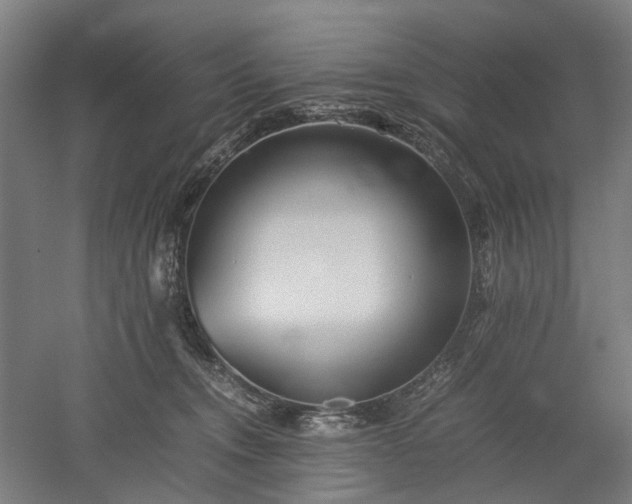 X0000052920372200507151557