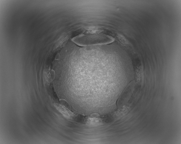 X0000052920376200507151557