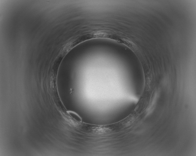 X0000052920379200507151557