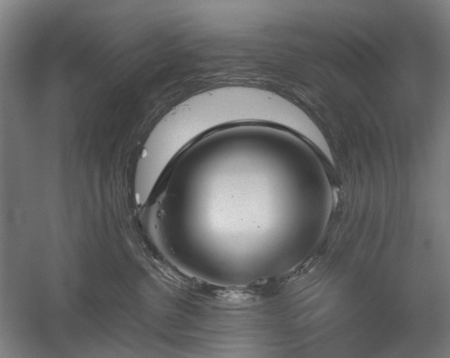X0000052920380200507151557