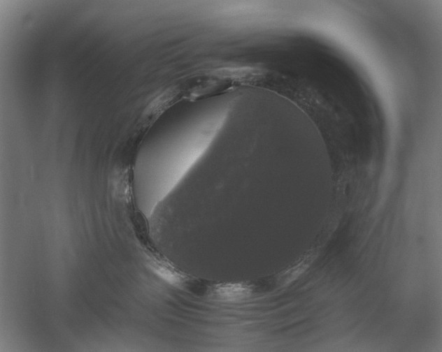 X0000052920383200507151557