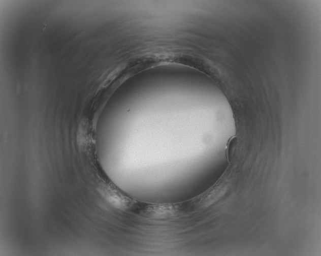 X0000052920384200507151557