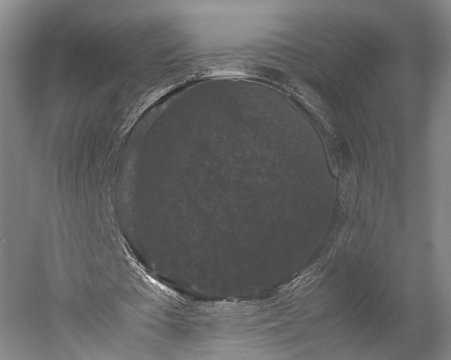 X0000052920385200507151556