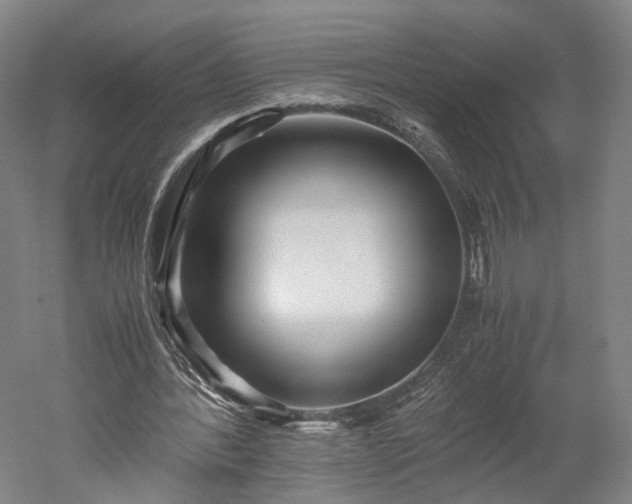 X0000052920388200507151556