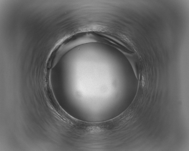 X0000052920392200507151556