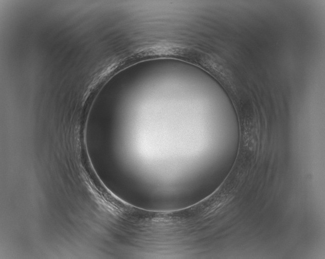 X0000052920394200507151556