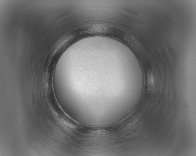 X0000052920396200507151556