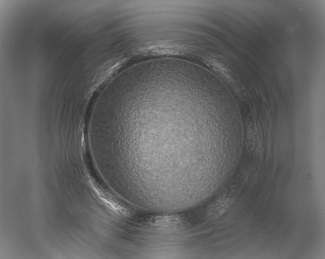 X0000052920398200507151556