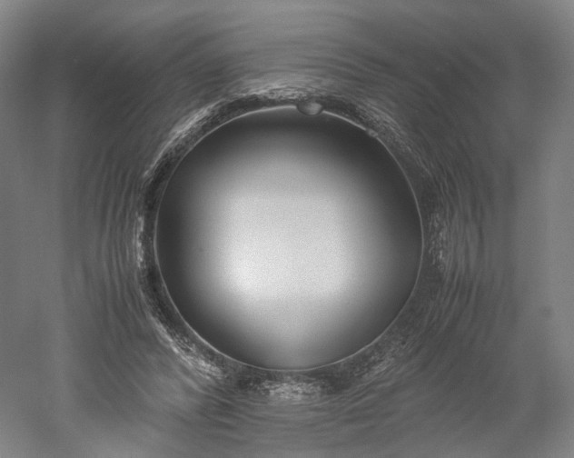 X0000052920400200507151556