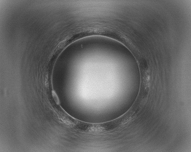 X0000052920403200507151556