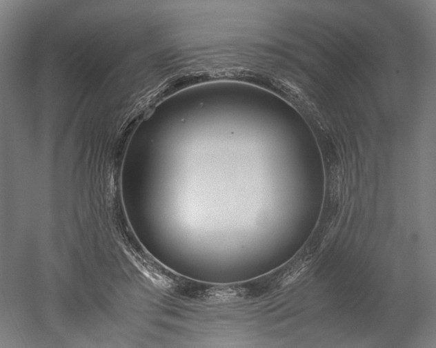 X0000052920405200507151556