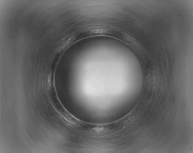 X0000052920406200507151556