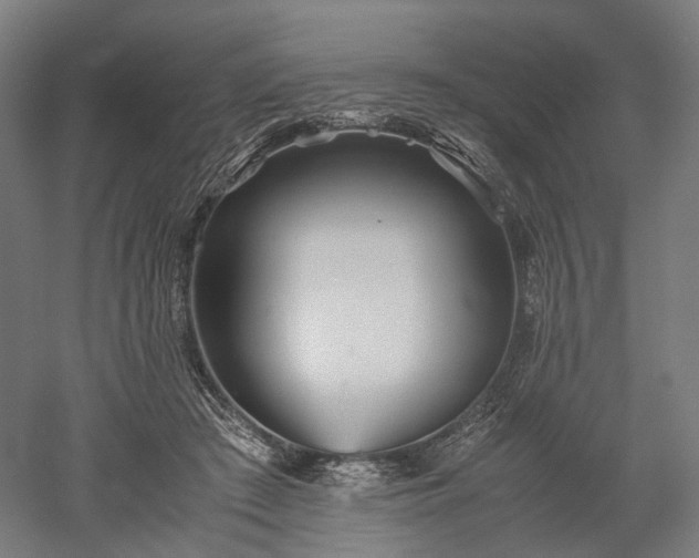 X0000052920409200507151556
