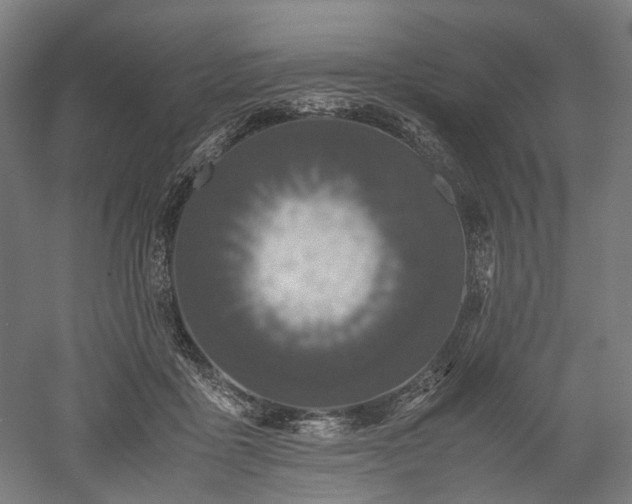 X0000052920411200507151556